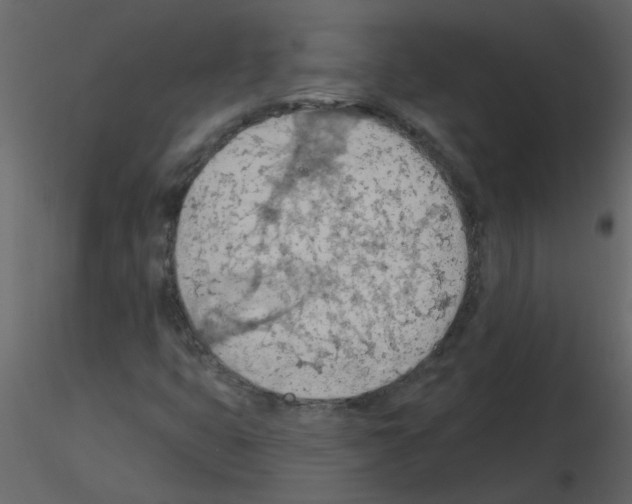 X0000115791399200912241822