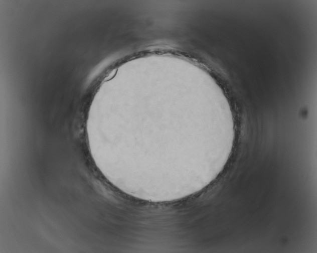 X0000115791400200912241822