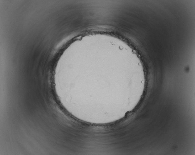 X0000115791402200912241822