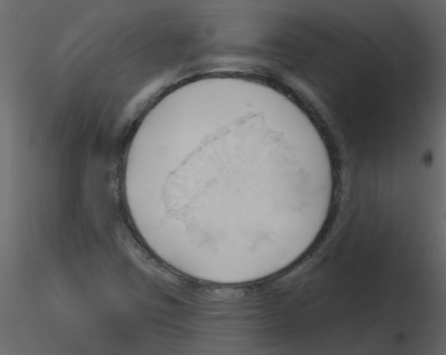 X0000115791403200912241822