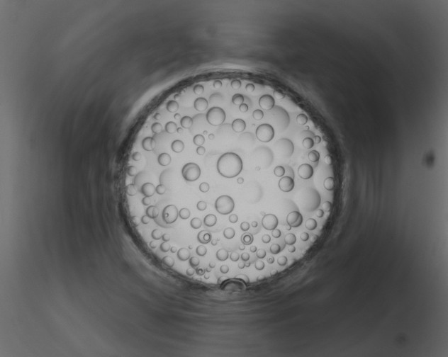 X0000115791404200912241822