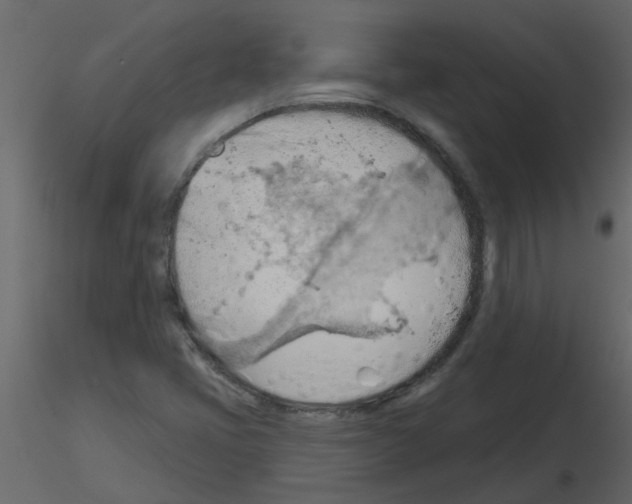 X0000115791405200912241822