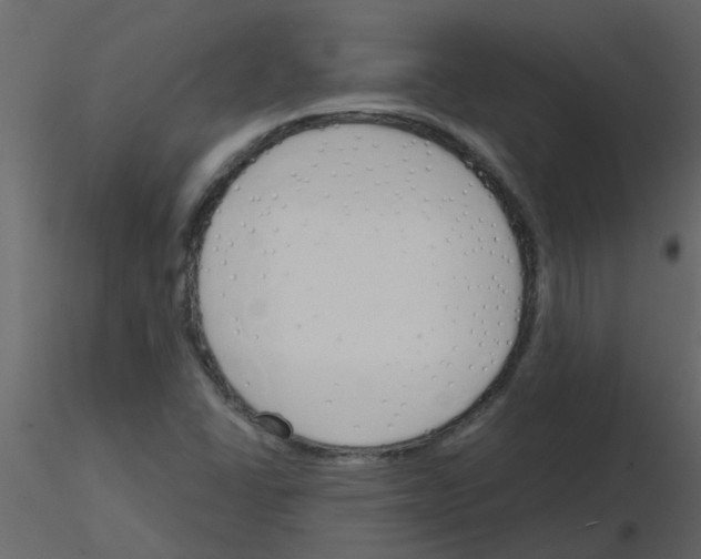 X0000115791406200912241822
