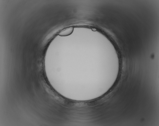 X0000115791407200912241822