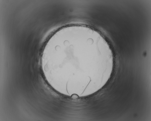X0000115791408200912241822