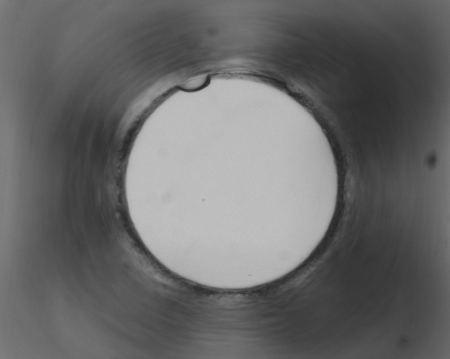 X0000115791410200912241822