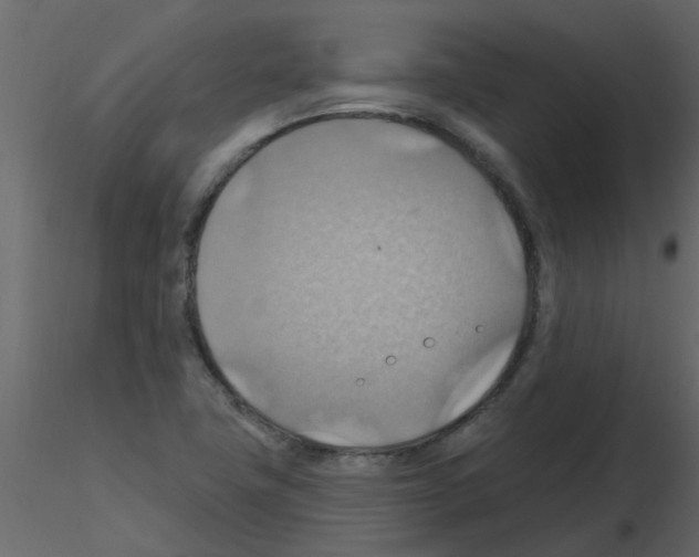 X0000115791411200912241822