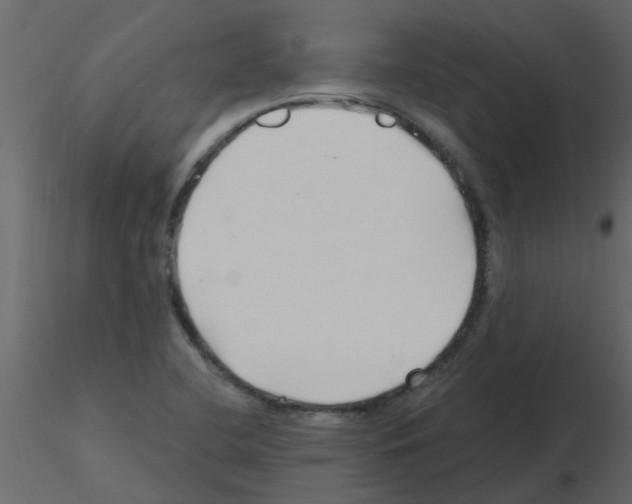 X0000115791412200912241822