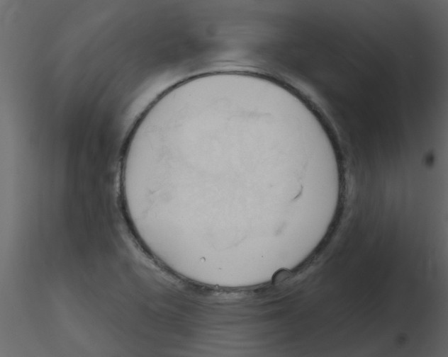 X0000115791415200912241822