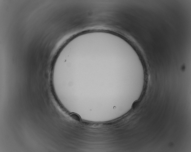 X0000115791416200912241822