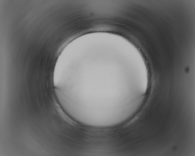 X0000115791417200912241822