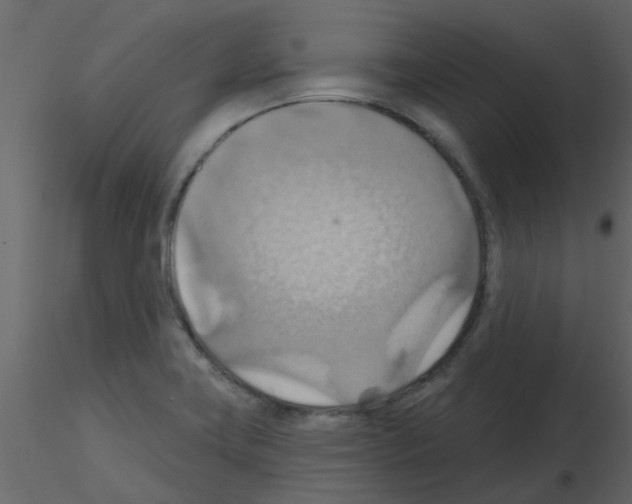 X0000115791419200912241822