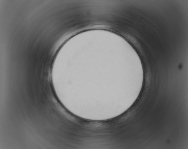 X0000115791420200912241822