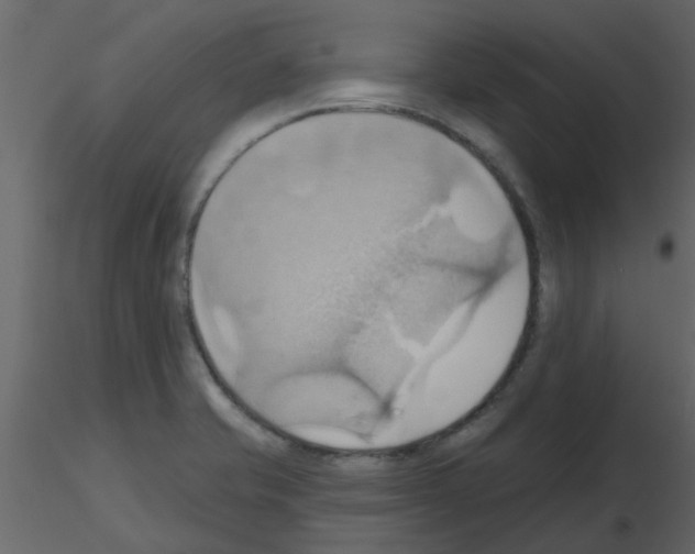 X0000115791421200912241822