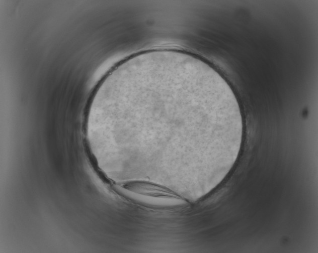 X0000115791422200912241822