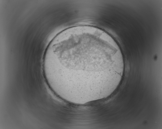 X0000115791423200912241822