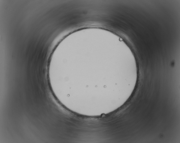 X0000115791424200912241822