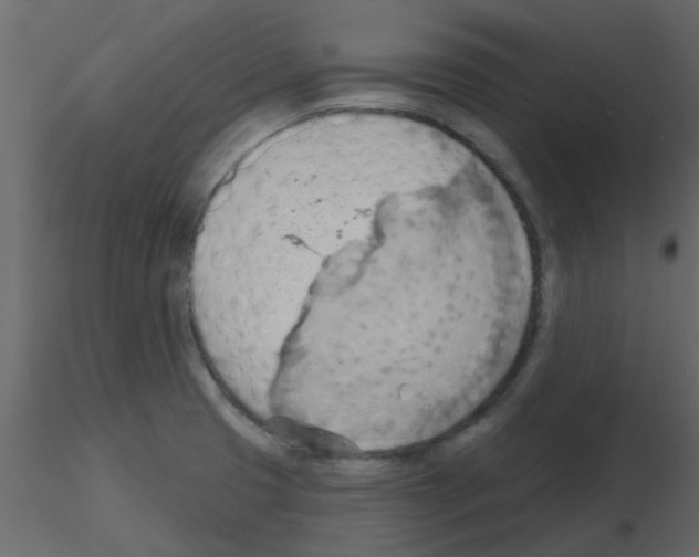 X0000115791425200912241822