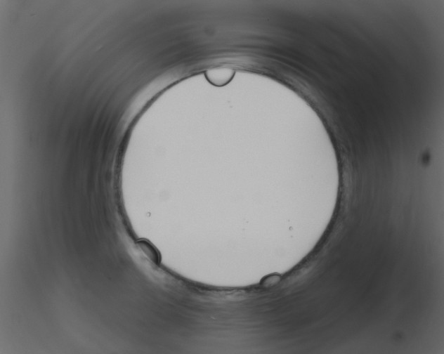 X0000115791426200912241822