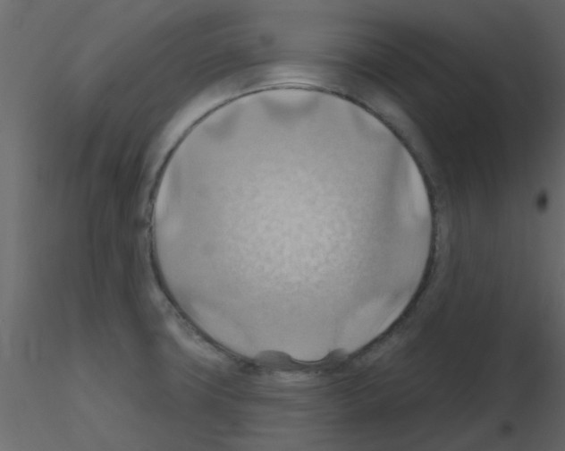 X0000115791427200912241822