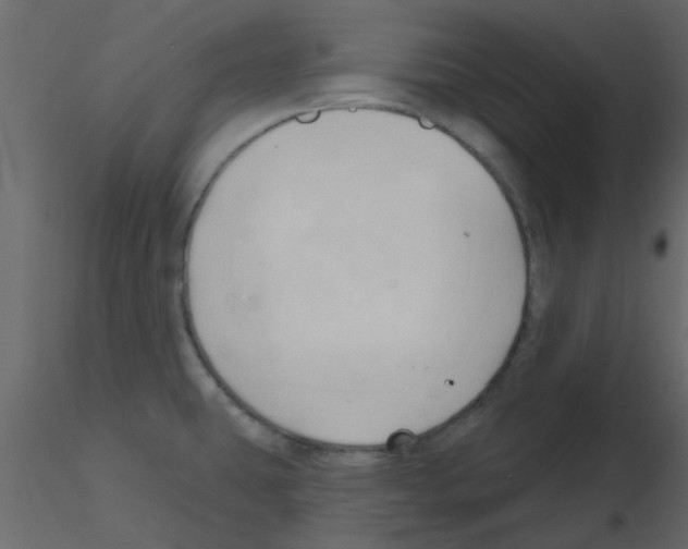 X0000115791431200912241822