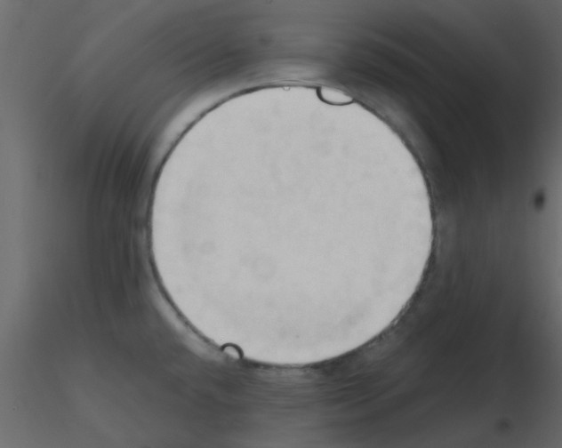 X0000115791432200912241822