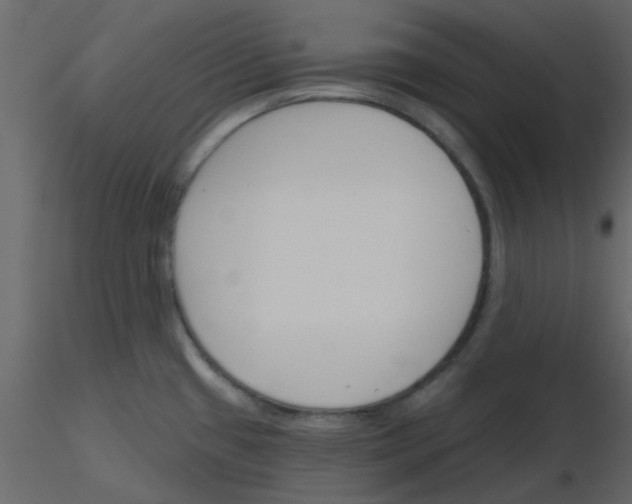 X0000115791433200912241822