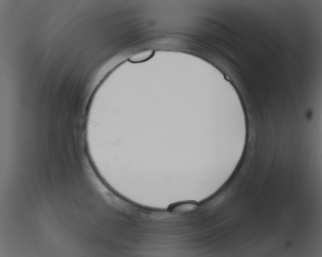 X0000115791434200912241822
