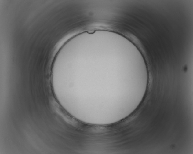 X0000115791435200912241822