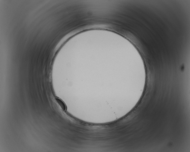 X0000115791436200912241822