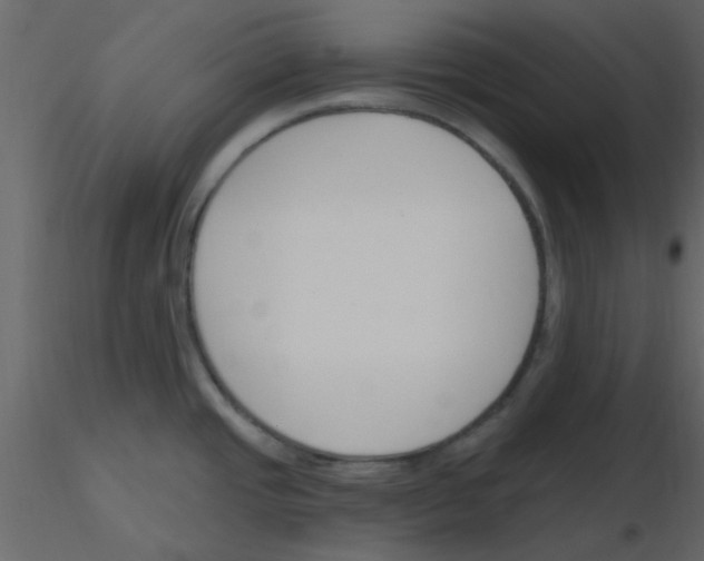X0000115791437200912241822