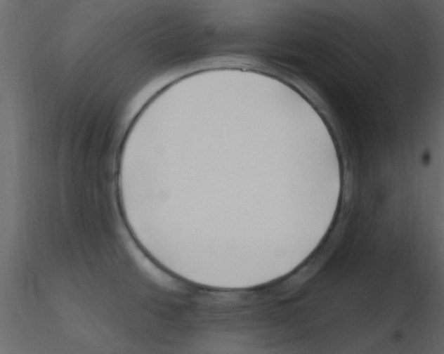 X0000115791438200912241822