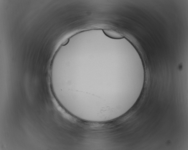 X0000115791439200912241822