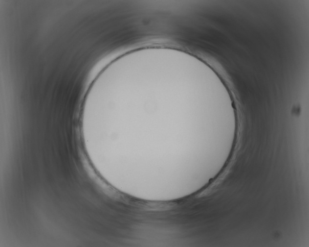 X0000115791440200912241822