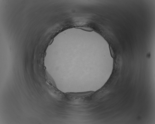 X0000115791441200912241822