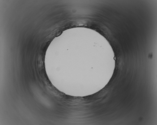 X0000115791442200912241822