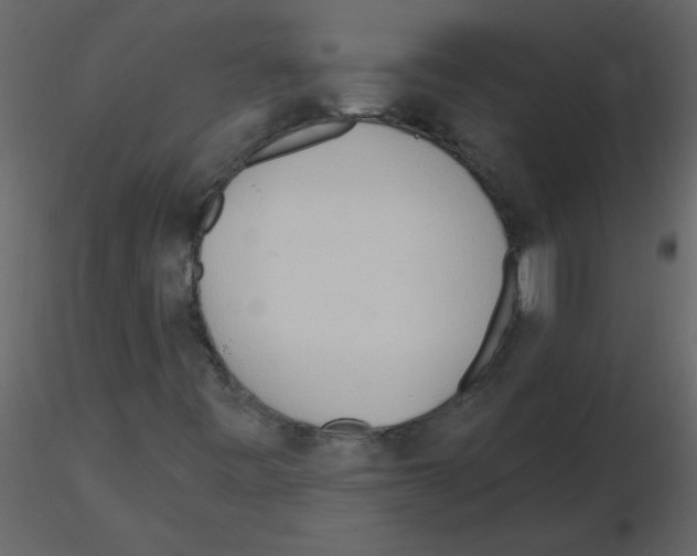 X0000115791443200912241822