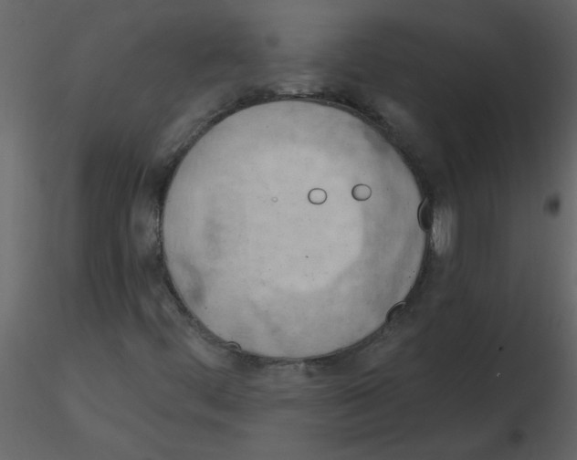 X0000115791444200912241822
