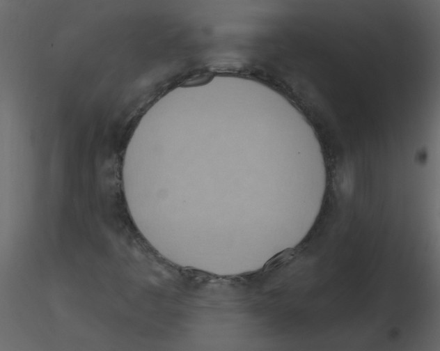 X0000115791445200912241822