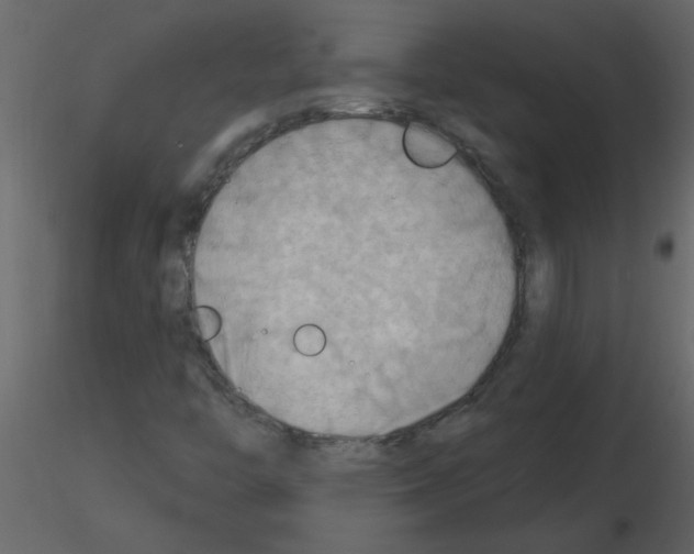 X0000115791446200912241822