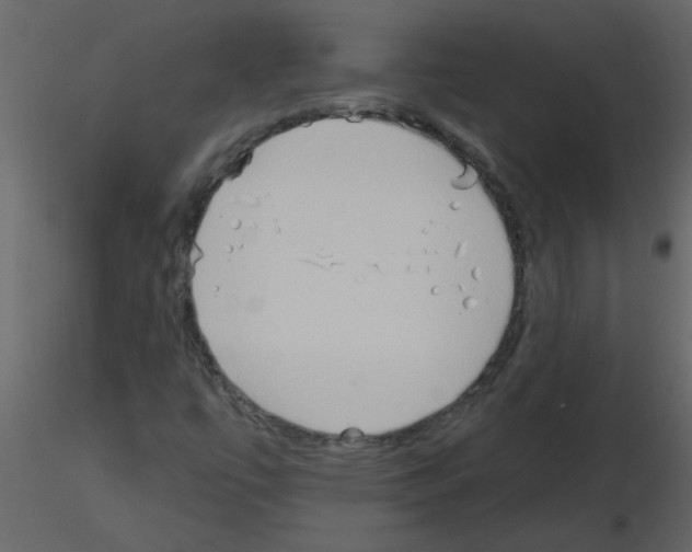 X0000115791447200912241822