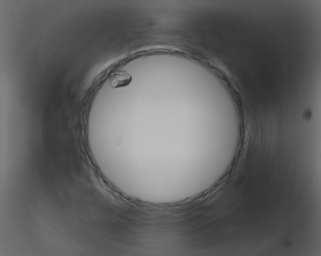 X0000115791448200912241822