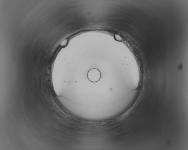 X0000115791449200912241822
