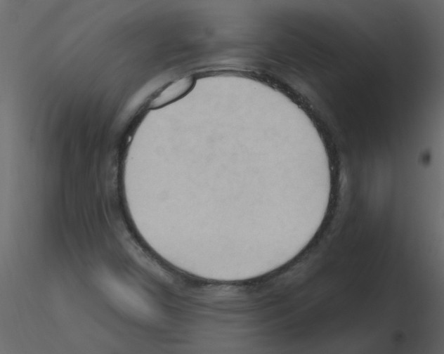 X0000115791450200912241821