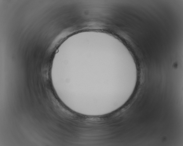 X0000115791451200912241821