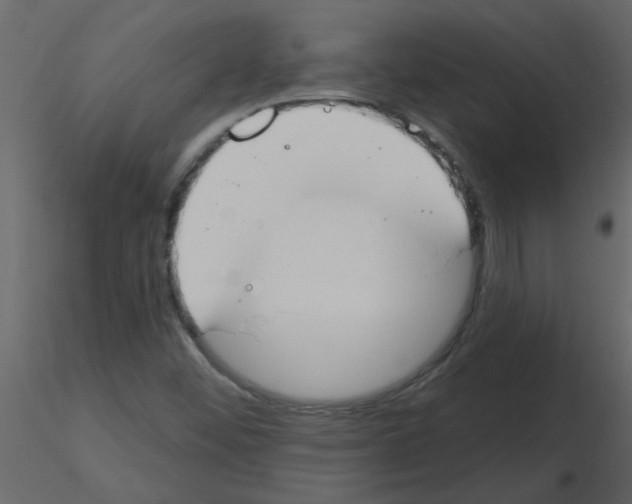 X0000115791452200912241821