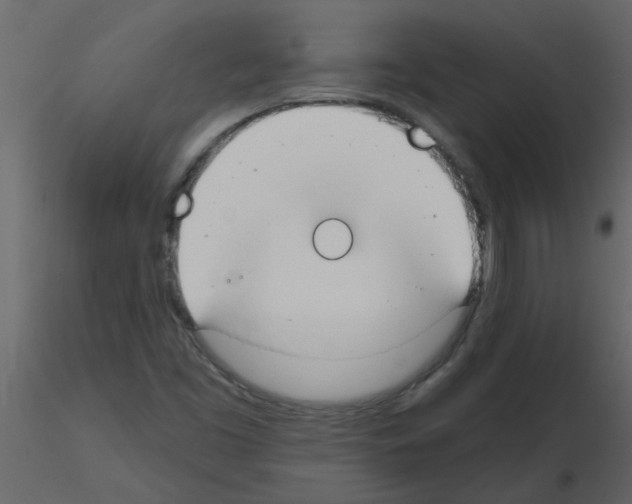 X0000115791453200912241821