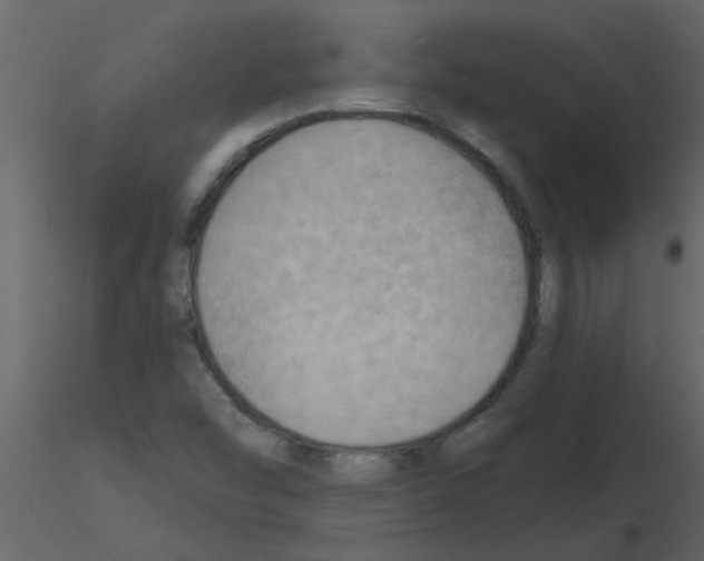 X0000115791454200912241821