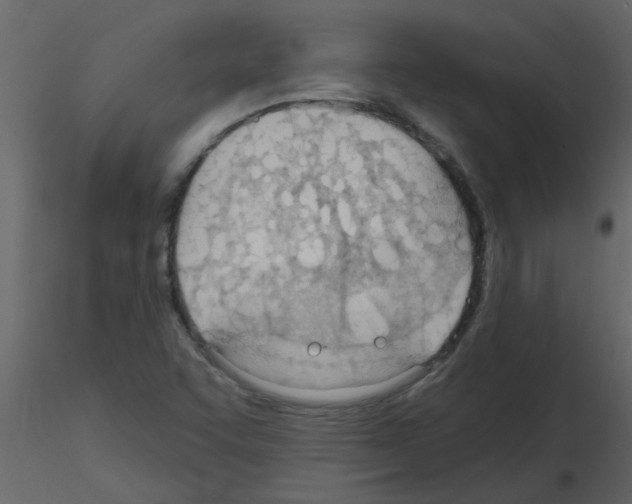 X0000115791455200912241821