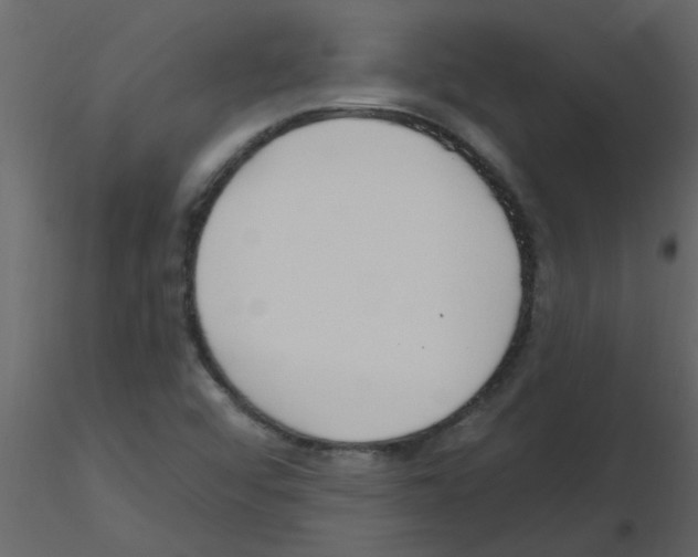 X0000115791456200912241821